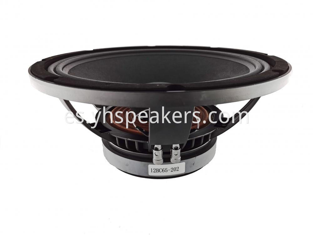 Professional Audio 12 Inch Woofer